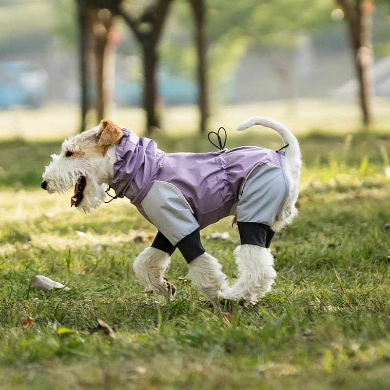 Lightweight Full Coverage Dog Rain Jacket