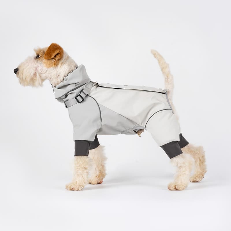 All-Weather Outdoor Adventure Dog Jacket