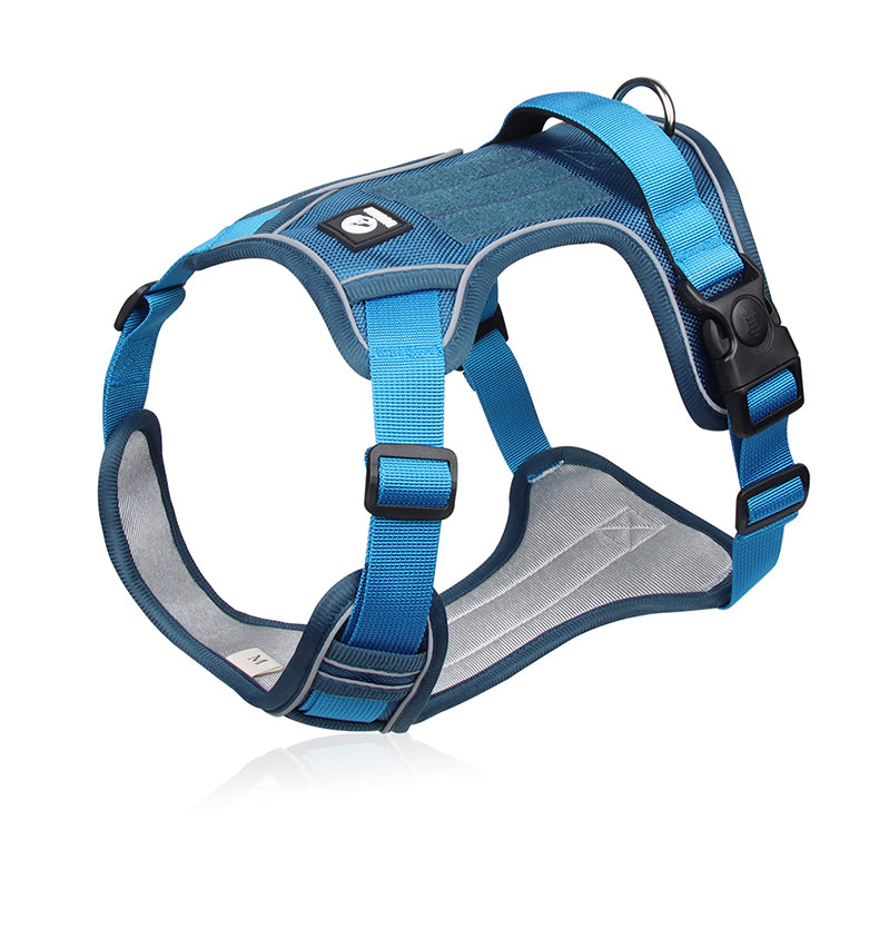 Canyon Ease Padded Dog Harness with Handle