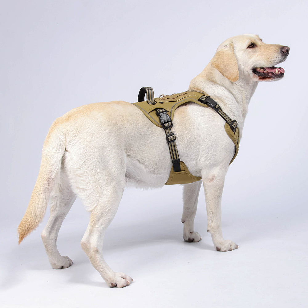 Field Trek Multi-Use Training Dog Harness with Handle