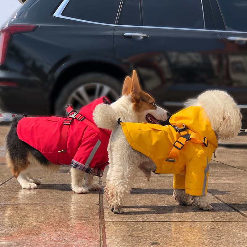 Reflective Harness Dog Rain Cape