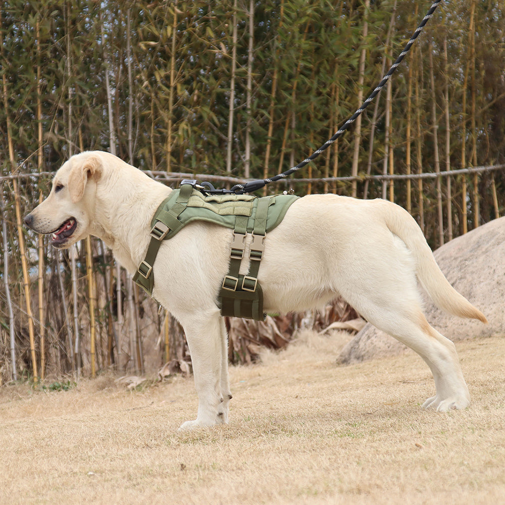 Summit Control Tactical Dog Harness with Handle