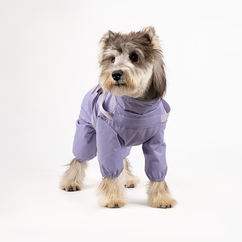 All-Weather Dog Adventure Suit