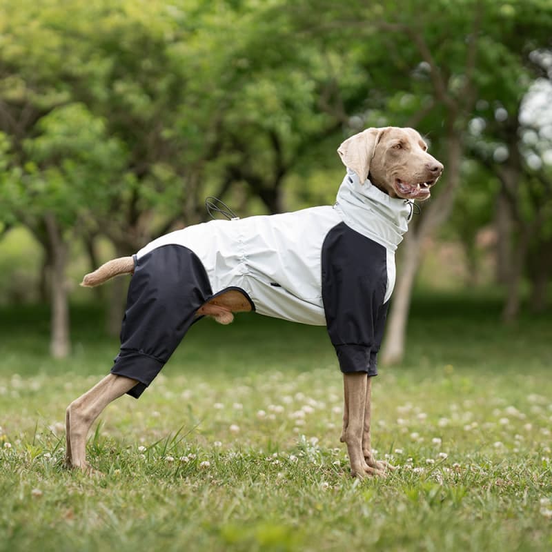 Lightweight Full Coverage Dog Rain Jacket