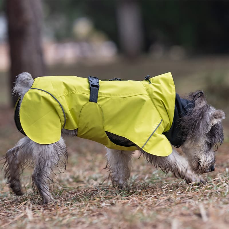 Breathable Dog Adventure Rain Coat