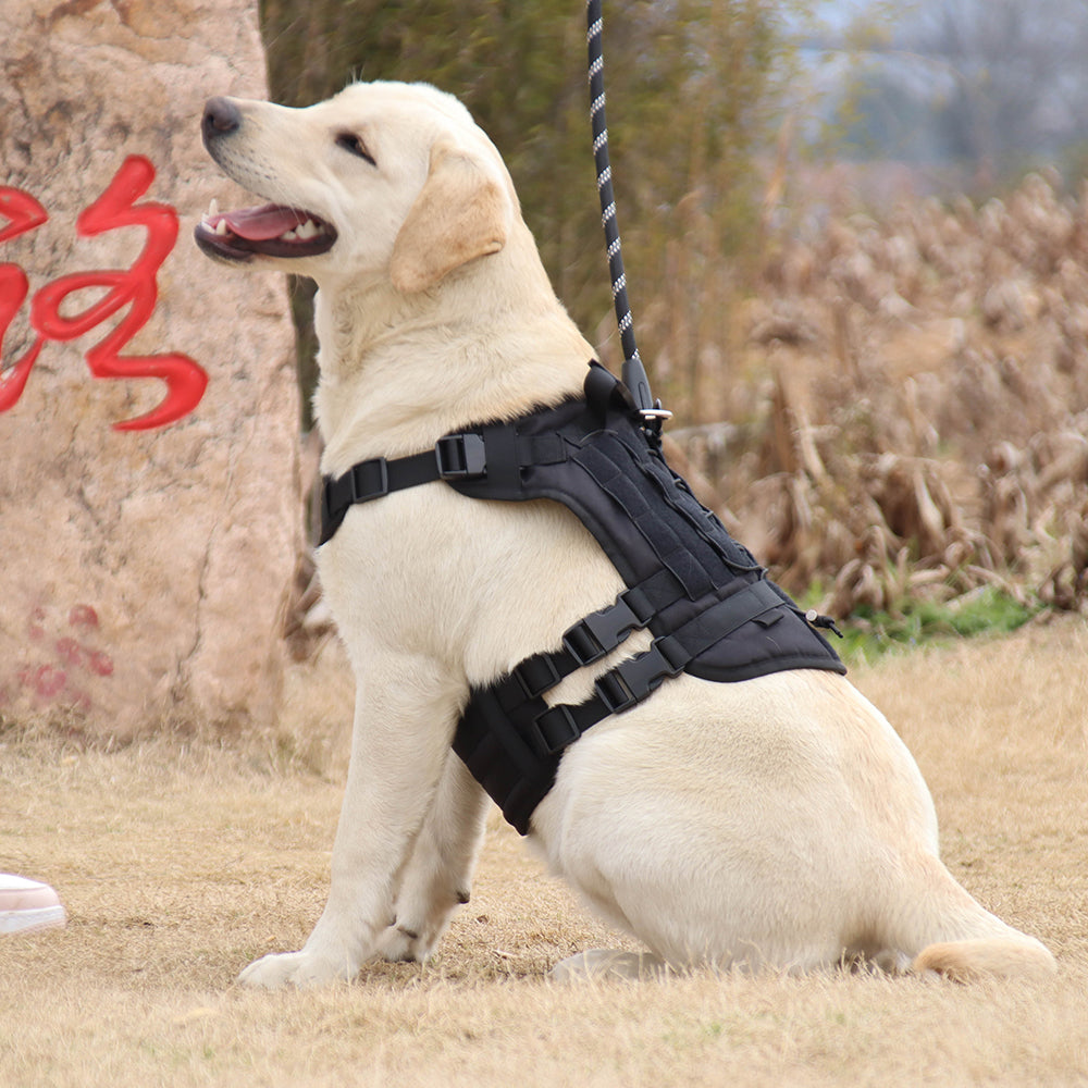 Summit Control Tactical Dog Harness with Handle