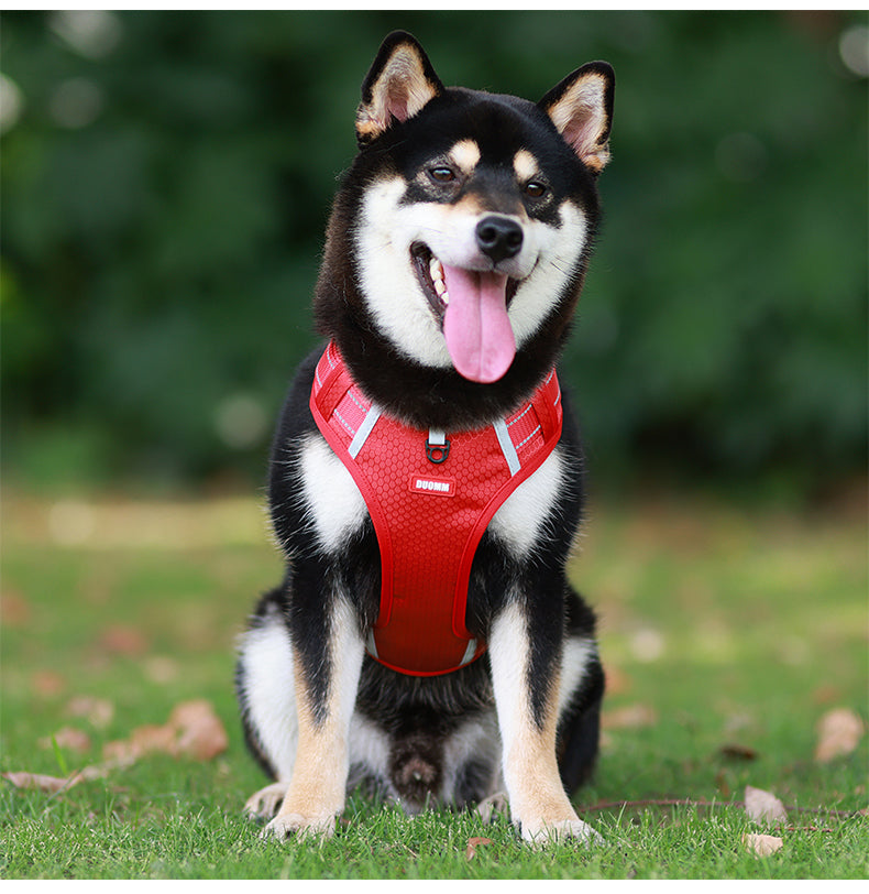 Northpath Control Dog Harness & Leash Set