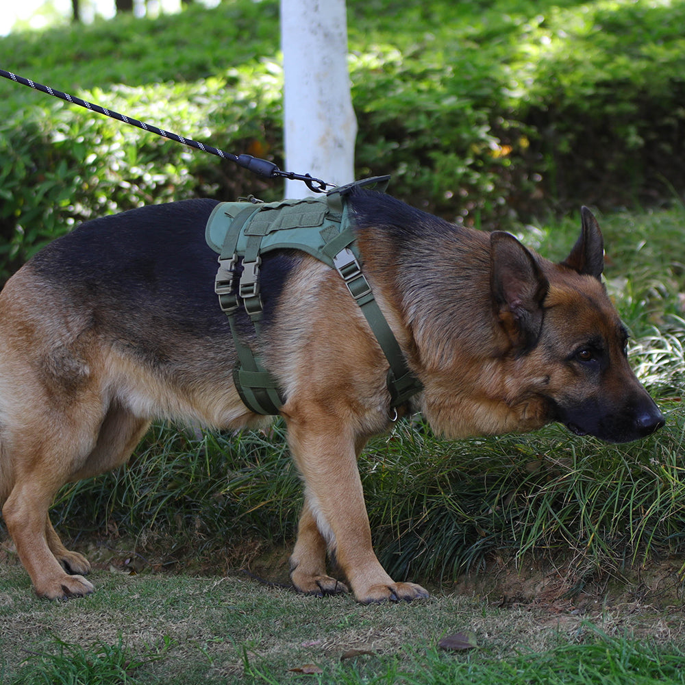 Summit Control Tactical Dog Harness with Handle