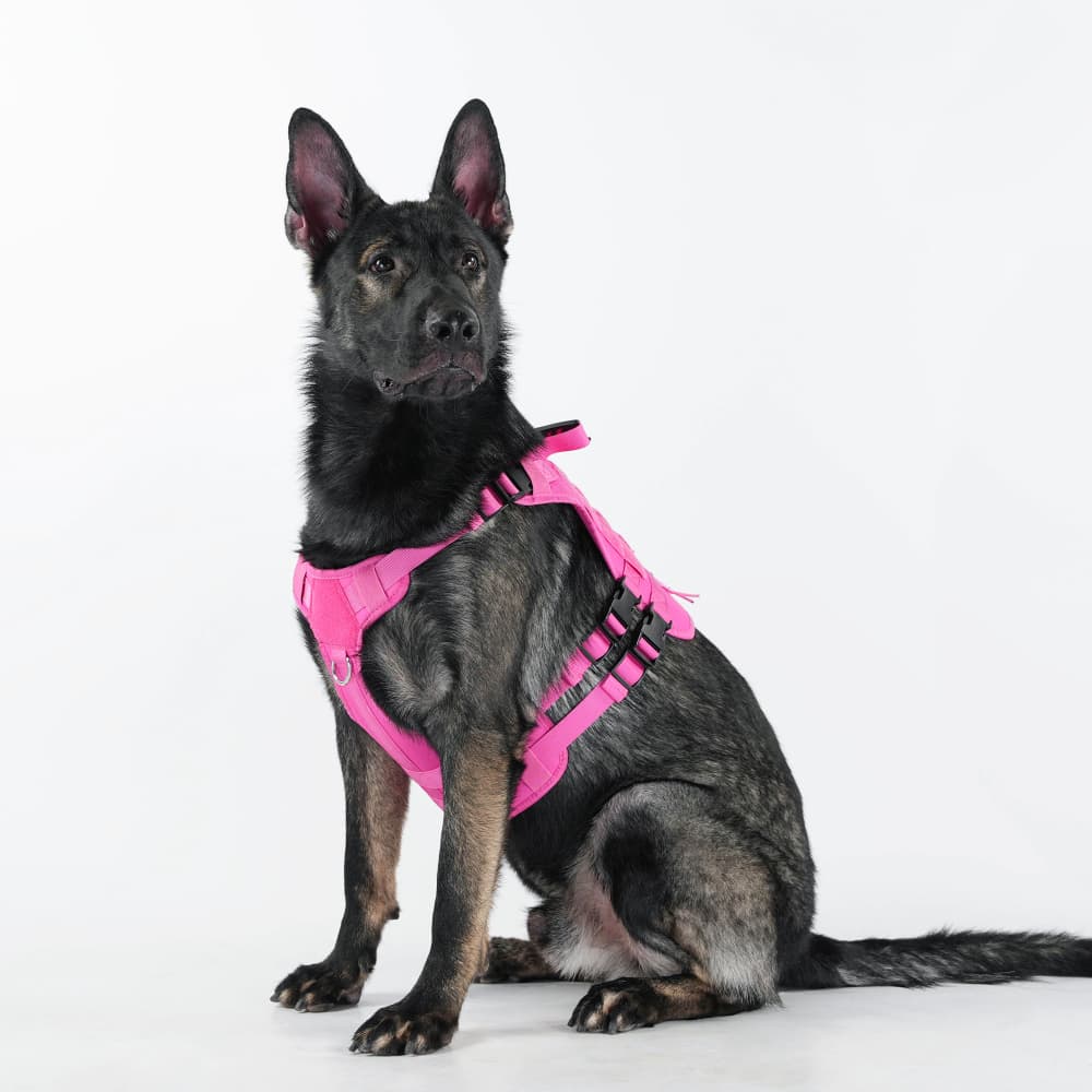 Summit Control Tactical Dog Harness with Handle