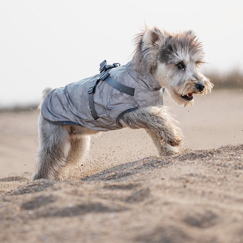 Breathable Waterproof Dog Rain Shell