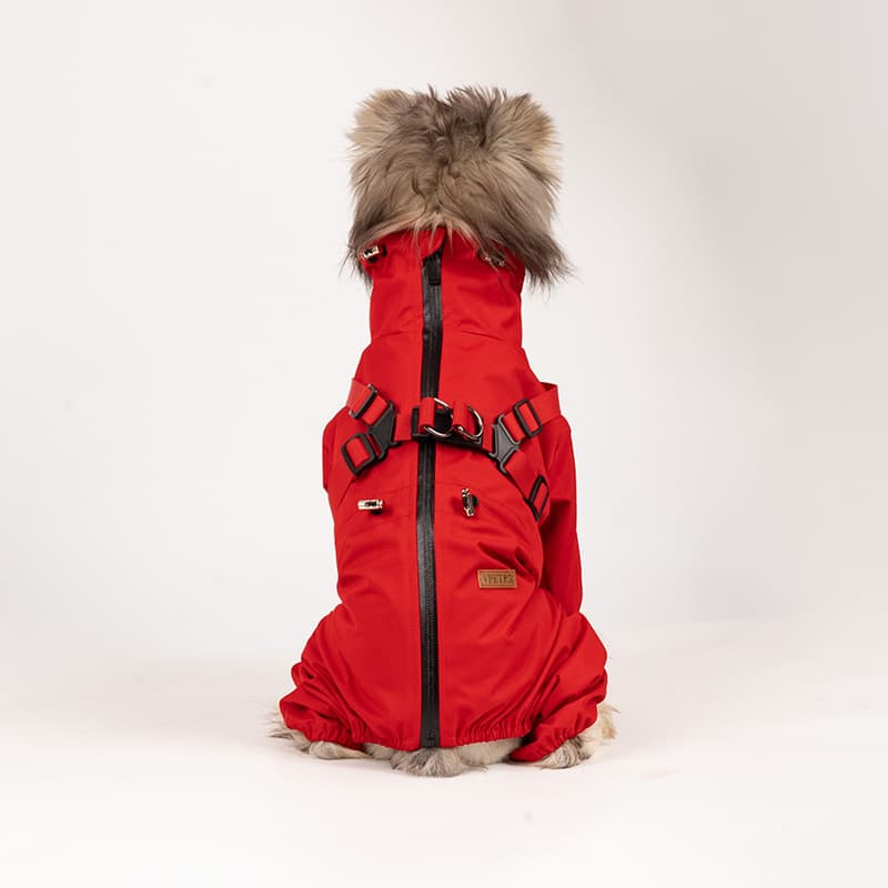 All-Weather Dog Adventure Suit