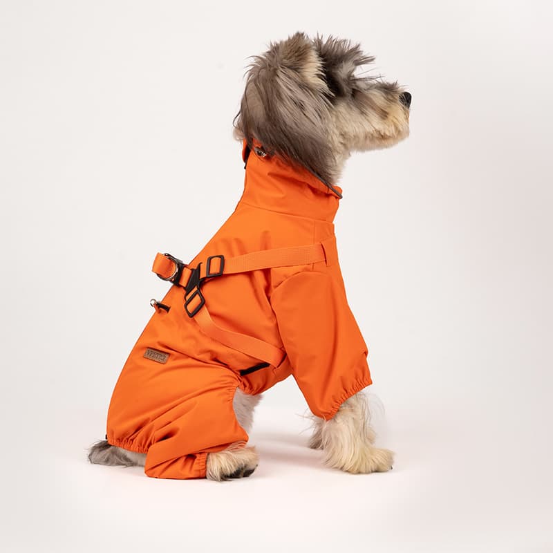 All-Weather Dog Adventure Suit