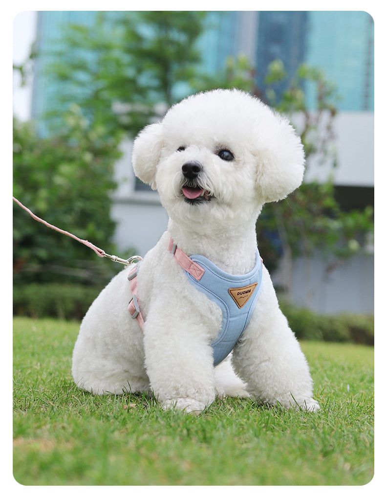 Soft Form Escape-Resistant Pet Harness and Leash Set