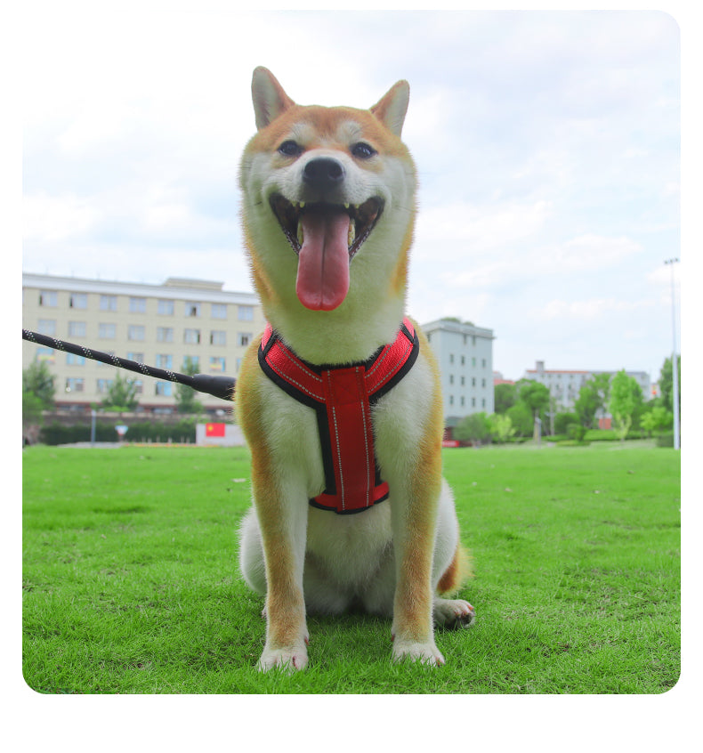 Core Walk Adjustable No-Pull Dog Harness