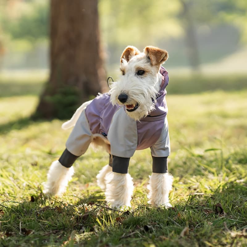 Lightweight Full Coverage Dog Rain Jacket