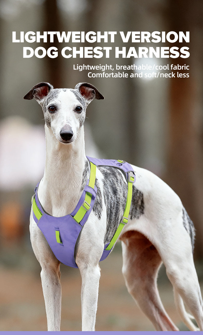 Trail Air Lightweight Reflective Dog Harness