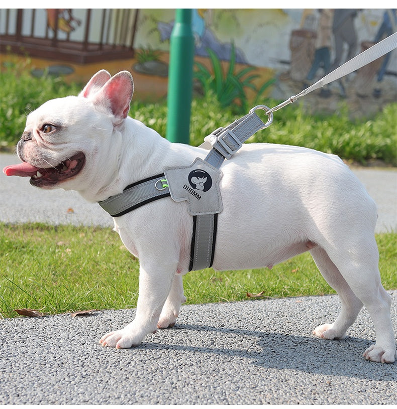 Daybeam Reflective Harness & Leash Set
