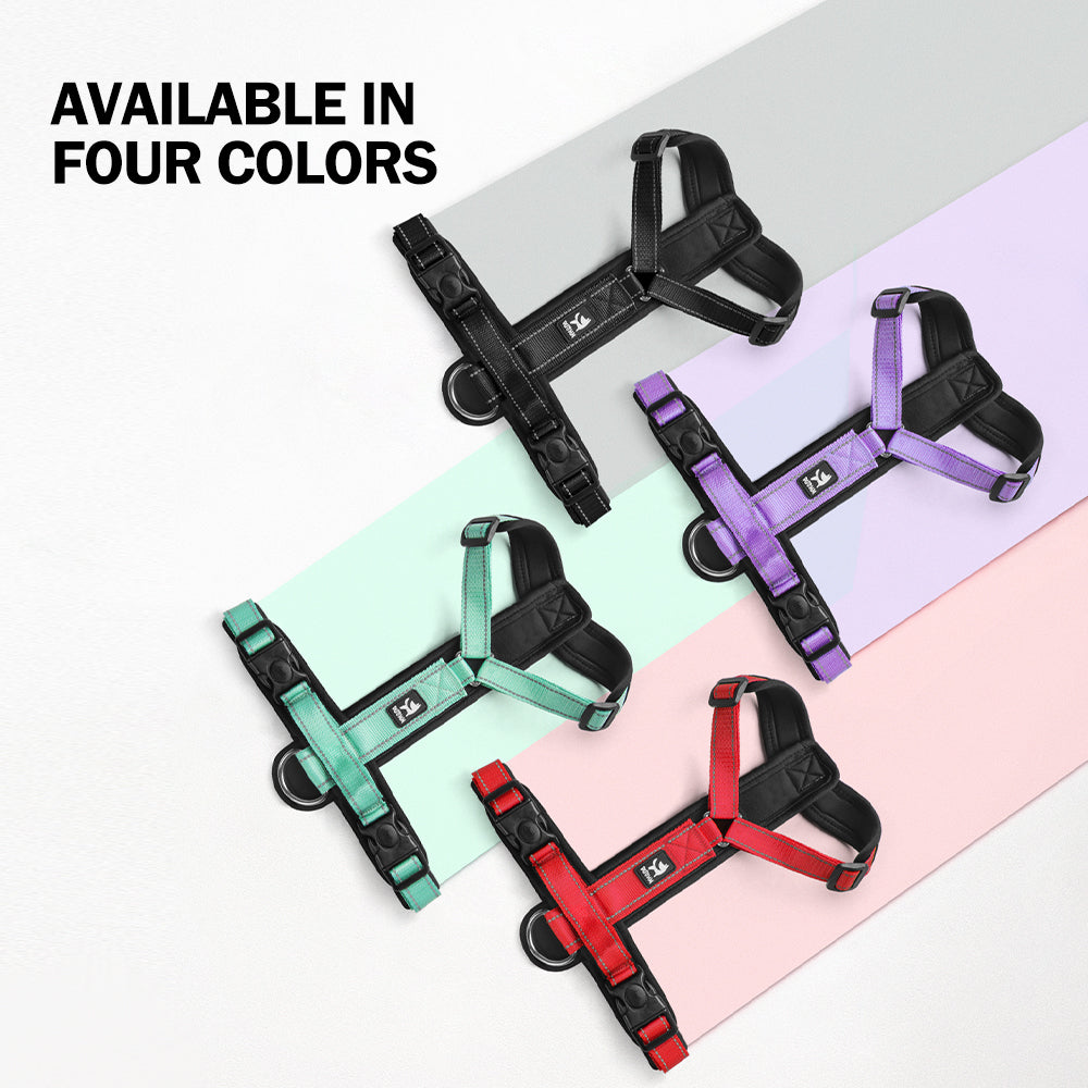 Roam Ready Adjustable Dog Harness and Leash Set