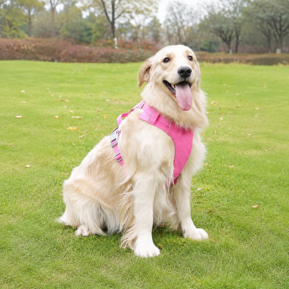 Aero Run Lightweight Reflective Dog Harness