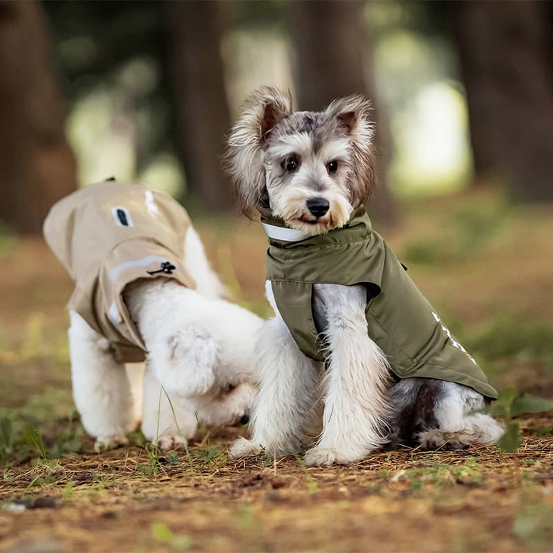 Lightweight Waterproof Dog Outdoor Jacket