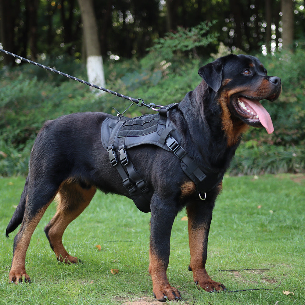 Summit Control Tactical Dog Harness with Handle