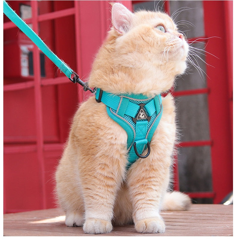 Feather Fit Breathable Pet Harness and Leash Set