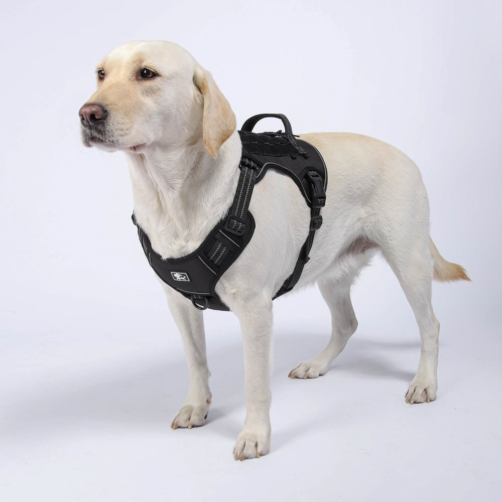 Field Trek Multi-Use Training Dog Harness with Handle