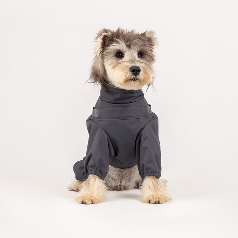 All-Weather Dog Adventure Suit