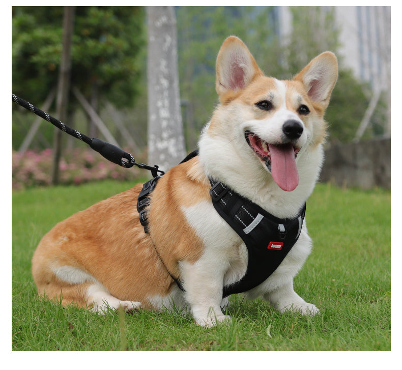 Motion Guard Reflective No-Pull Dog Harness with Handle