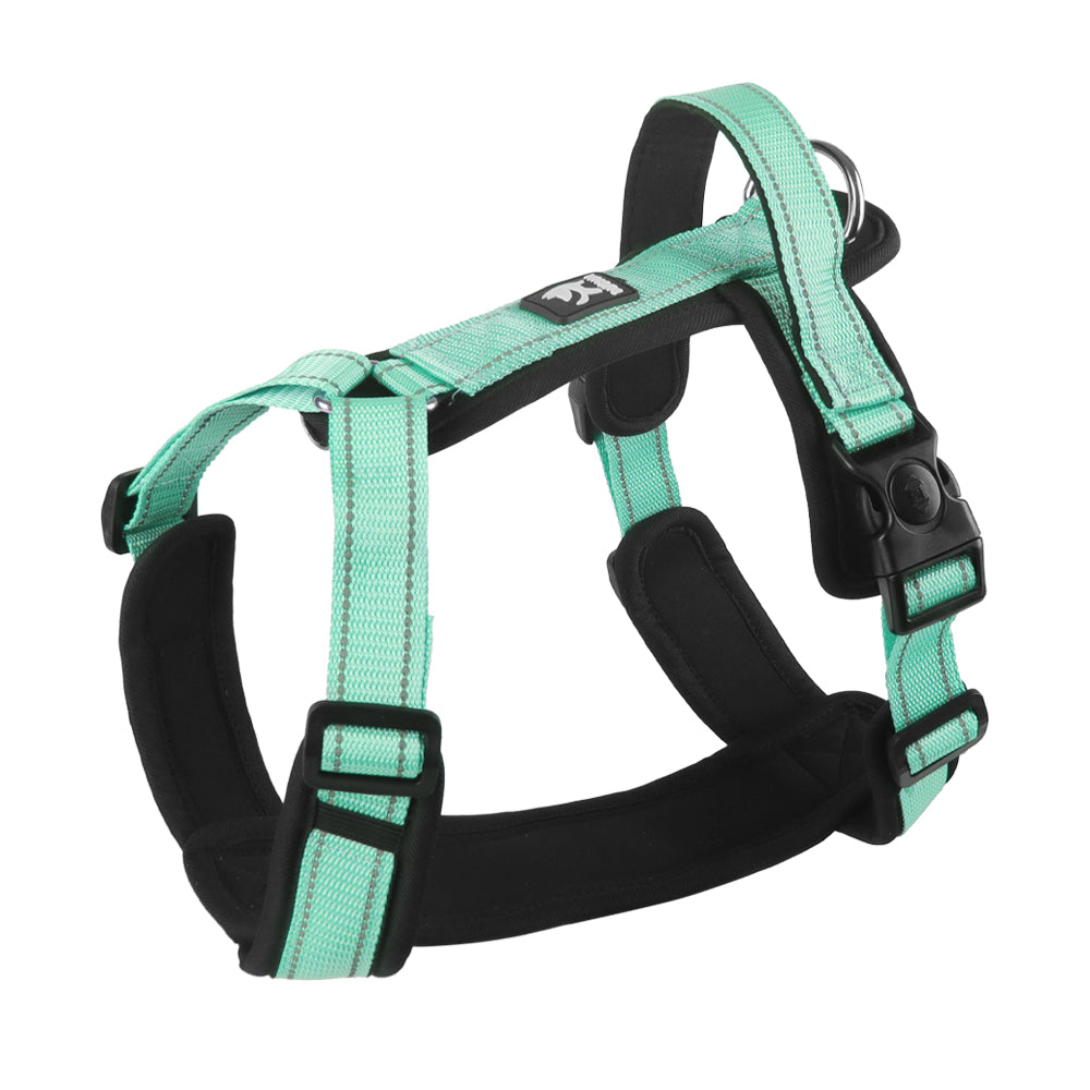 Core Walk Adjustable No-Pull Dog Harness