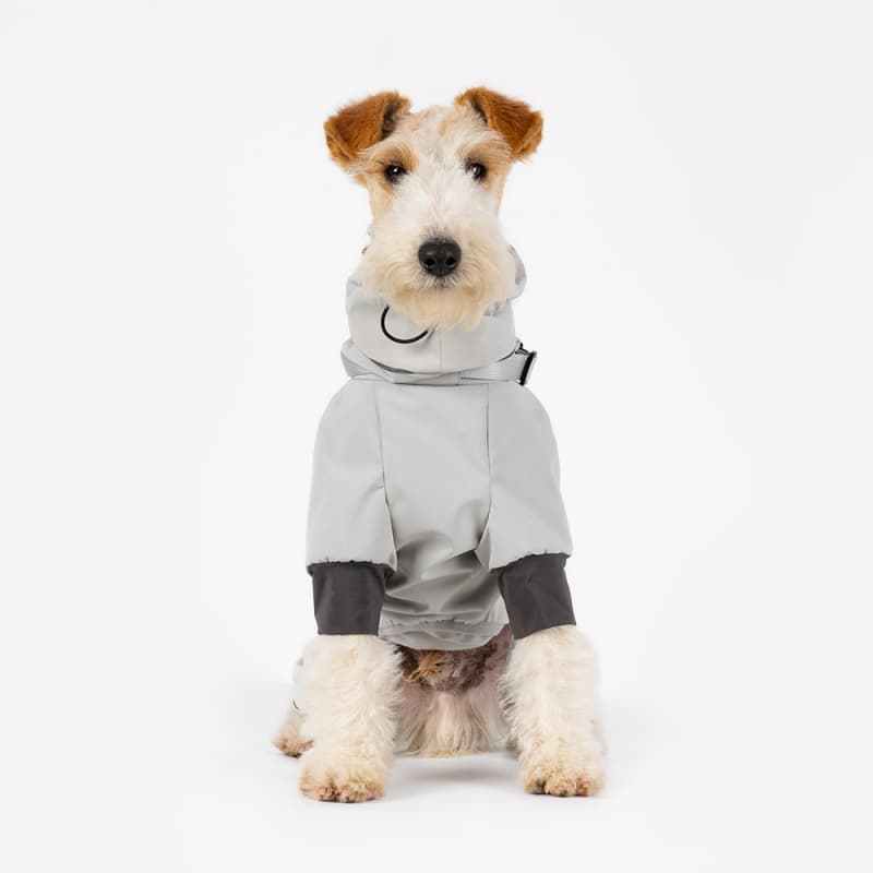 All-Weather Outdoor Adventure Dog Jacket