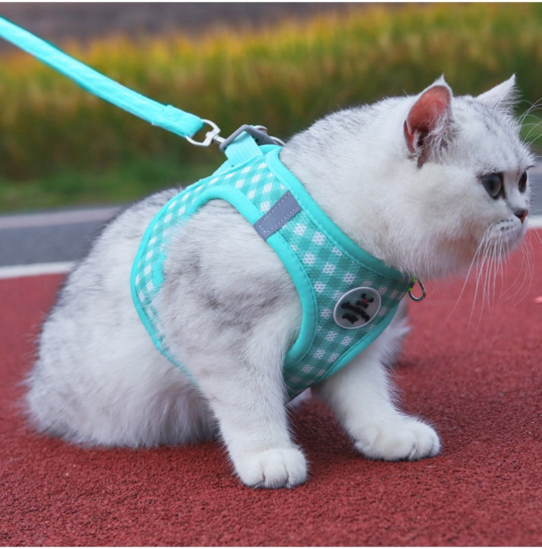 Classic Check Comfort Pet Harness and Leash Set