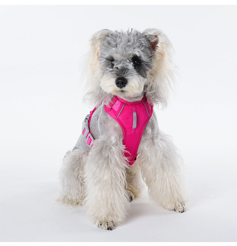 Pace Ridge Reflective Dog Harness
