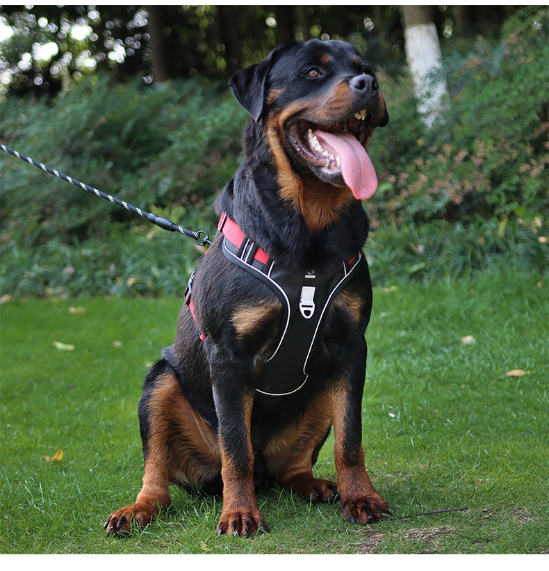 Motion Arc Reflective Harness & Leash Set