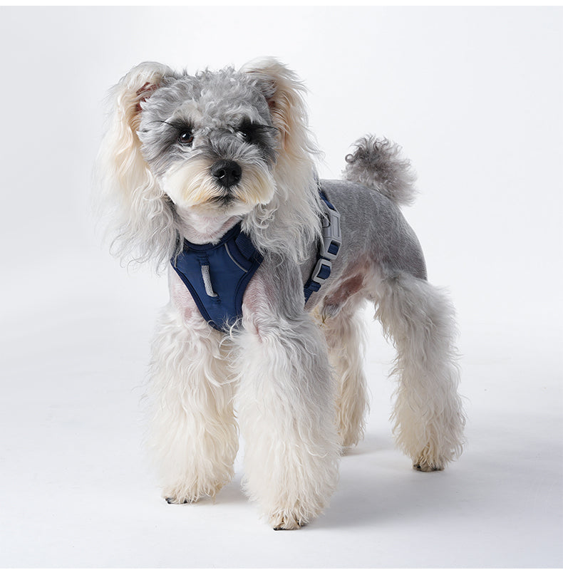 Pace Ridge Reflective Dog Harness