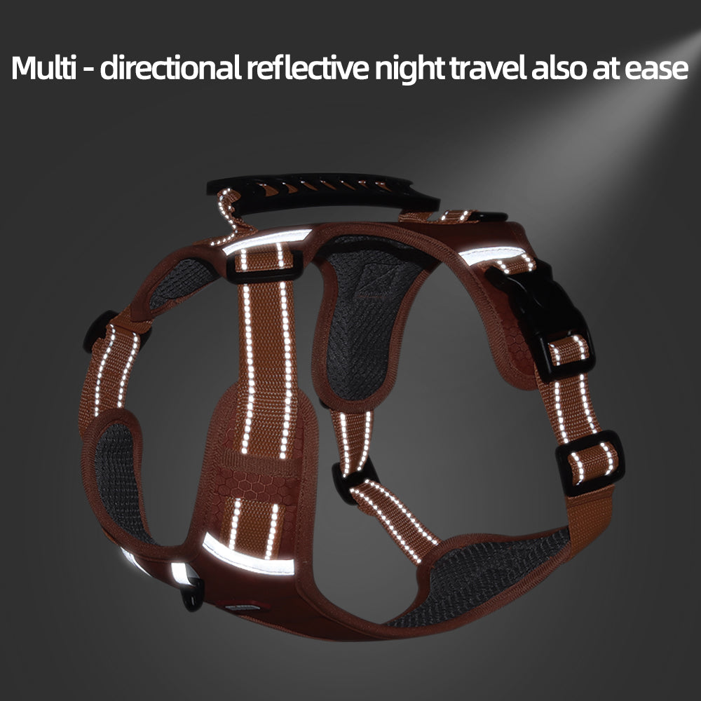 Northpath Control Dog Harness & Leash Set