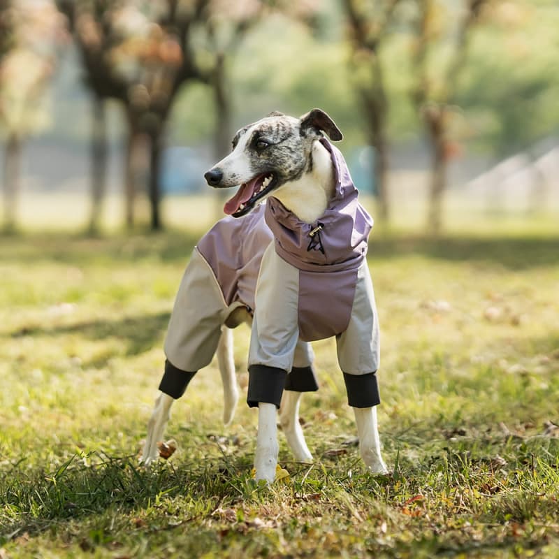 Lightweight Full Coverage Dog Rain Jacket
