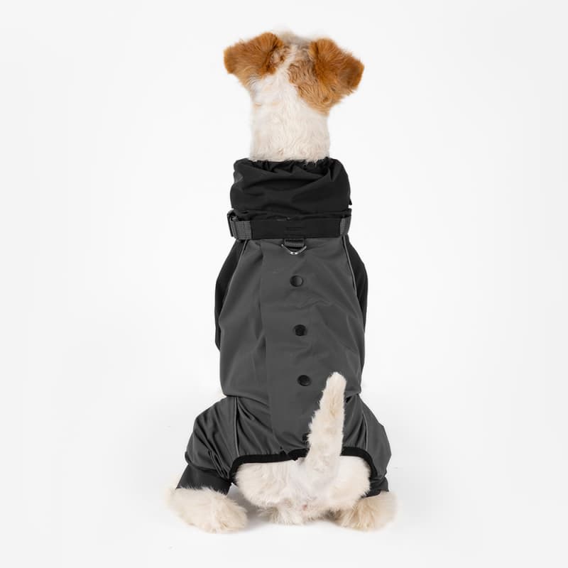 All-Weather Outdoor Adventure Dog Jacket
