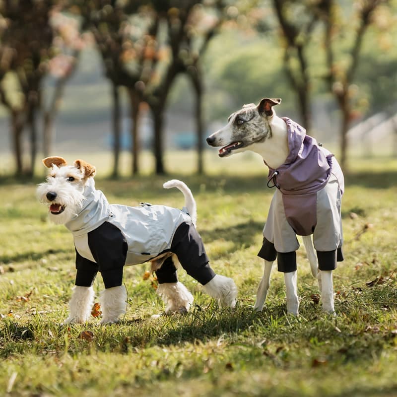 Lightweight Full Coverage Dog Rain Jacket