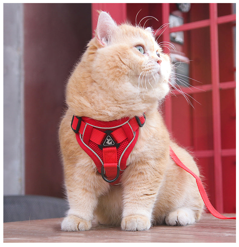 Feather Fit Breathable Pet Harness and Leash Set