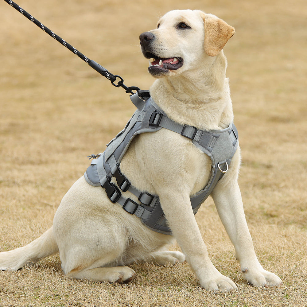 Summit Control Tactical Dog Harness with Handle