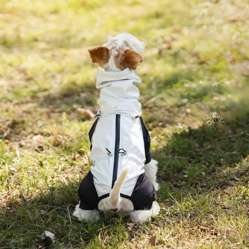 Lightweight Full Coverage Dog Rain Jacket