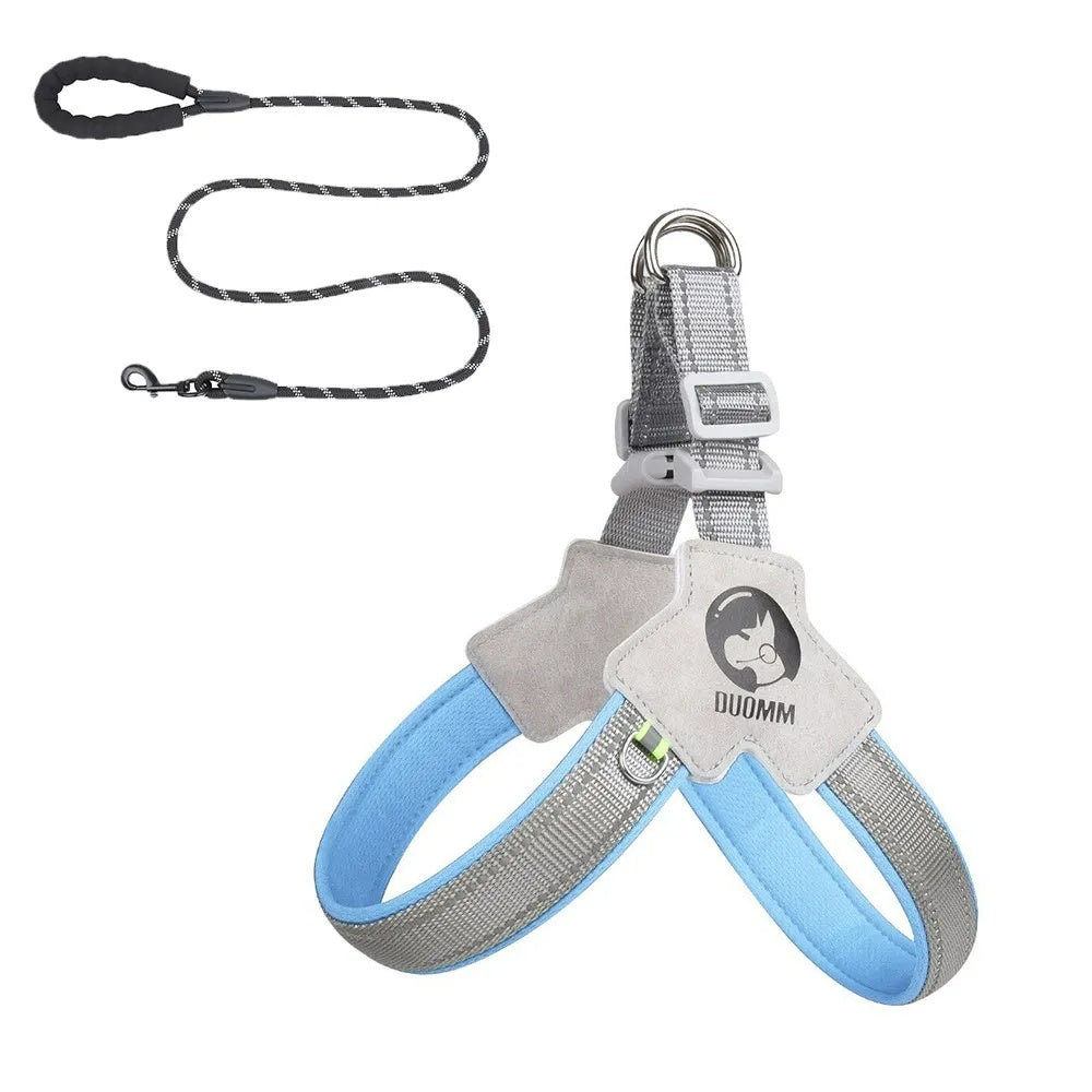 City Halo Reflective Harness & Leash Set