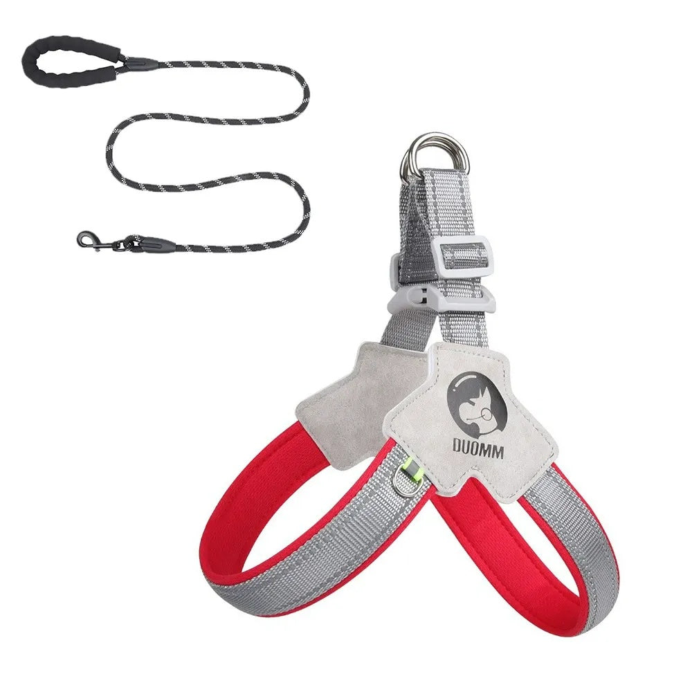 City Halo Reflective Harness & Leash Set