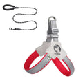 City Halo Reflective Harness & Leash Set