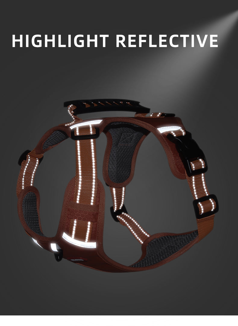 Ridge Guide Reflective Dog Harness and Leash Set