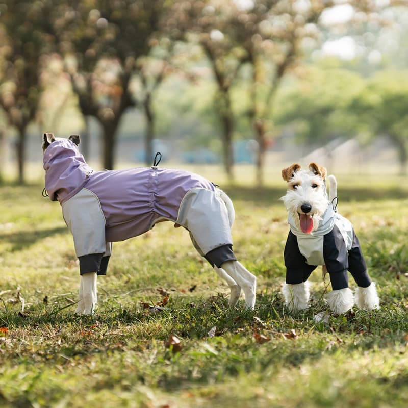 Lightweight Full Coverage Dog Rain Jacket