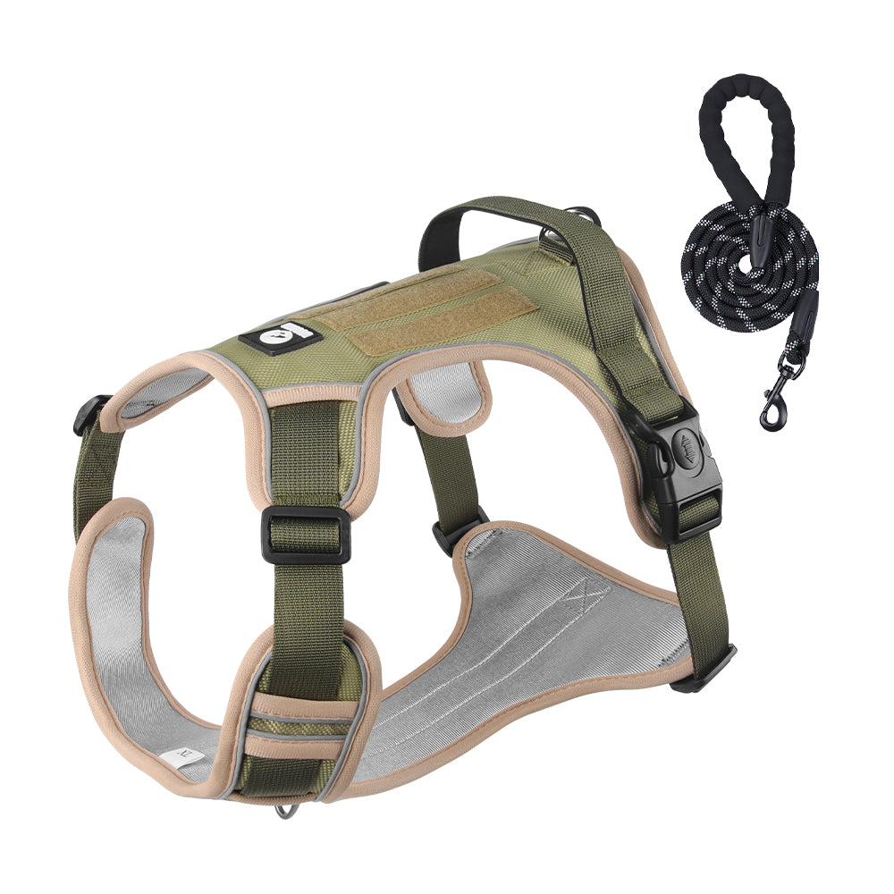 Overland Fit Padded Dog Harness and Leash Set