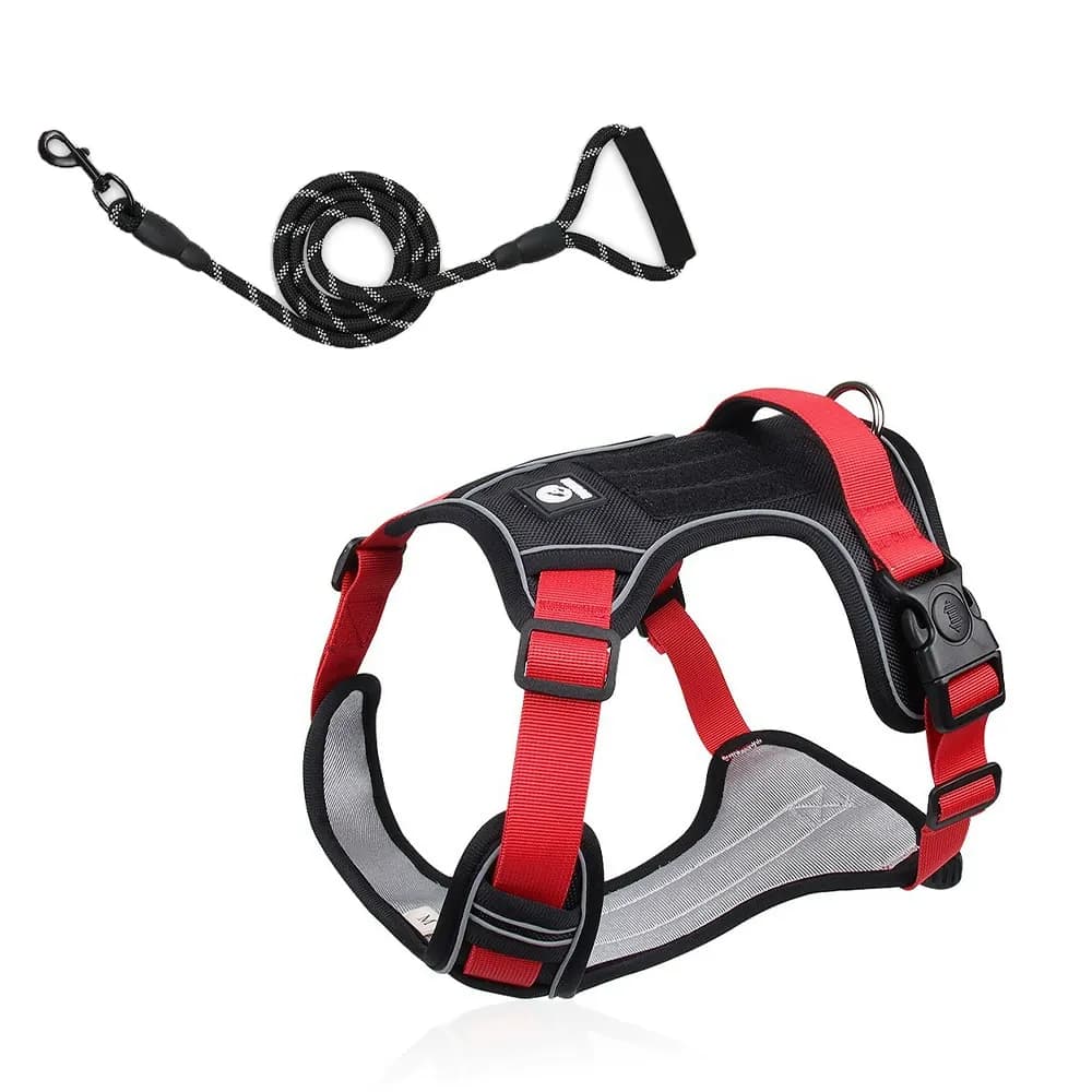 Motion Arc Reflective Harness & Leash Set