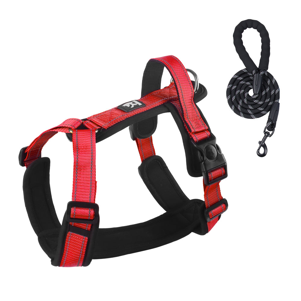 Roam Ready Adjustable Dog Harness and Leash Set